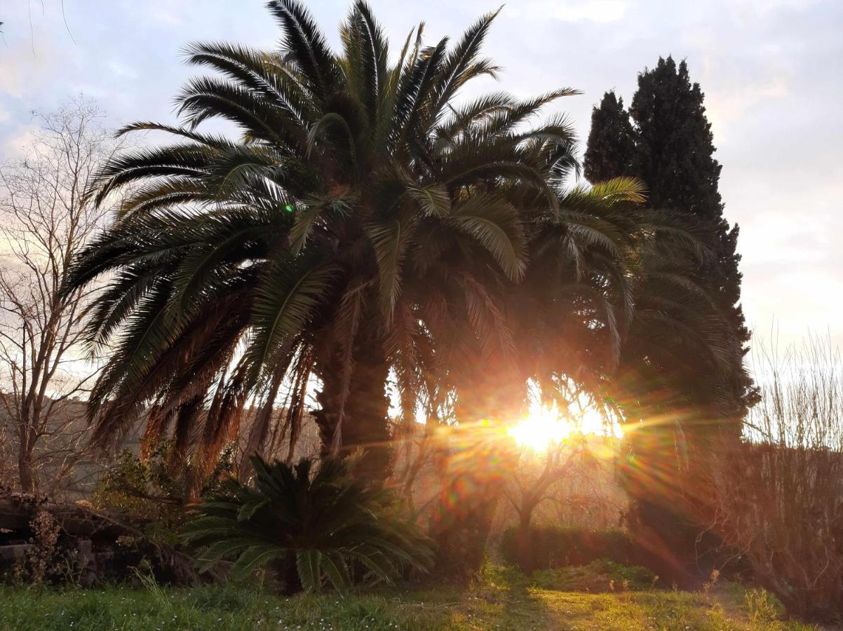 La Meriggia Senigallia Agriturismo 안코나 외부 사진