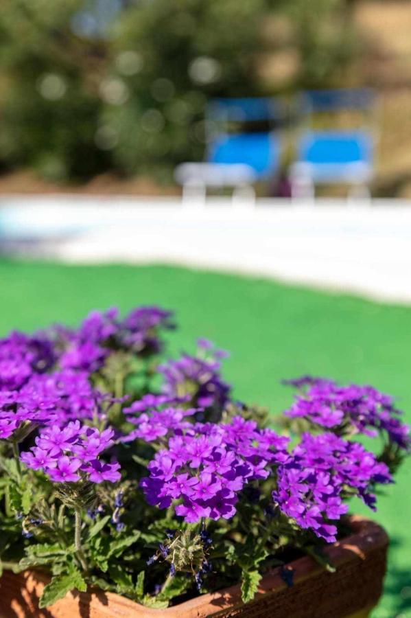 La Meriggia Senigallia Agriturismo 안코나 외부 사진