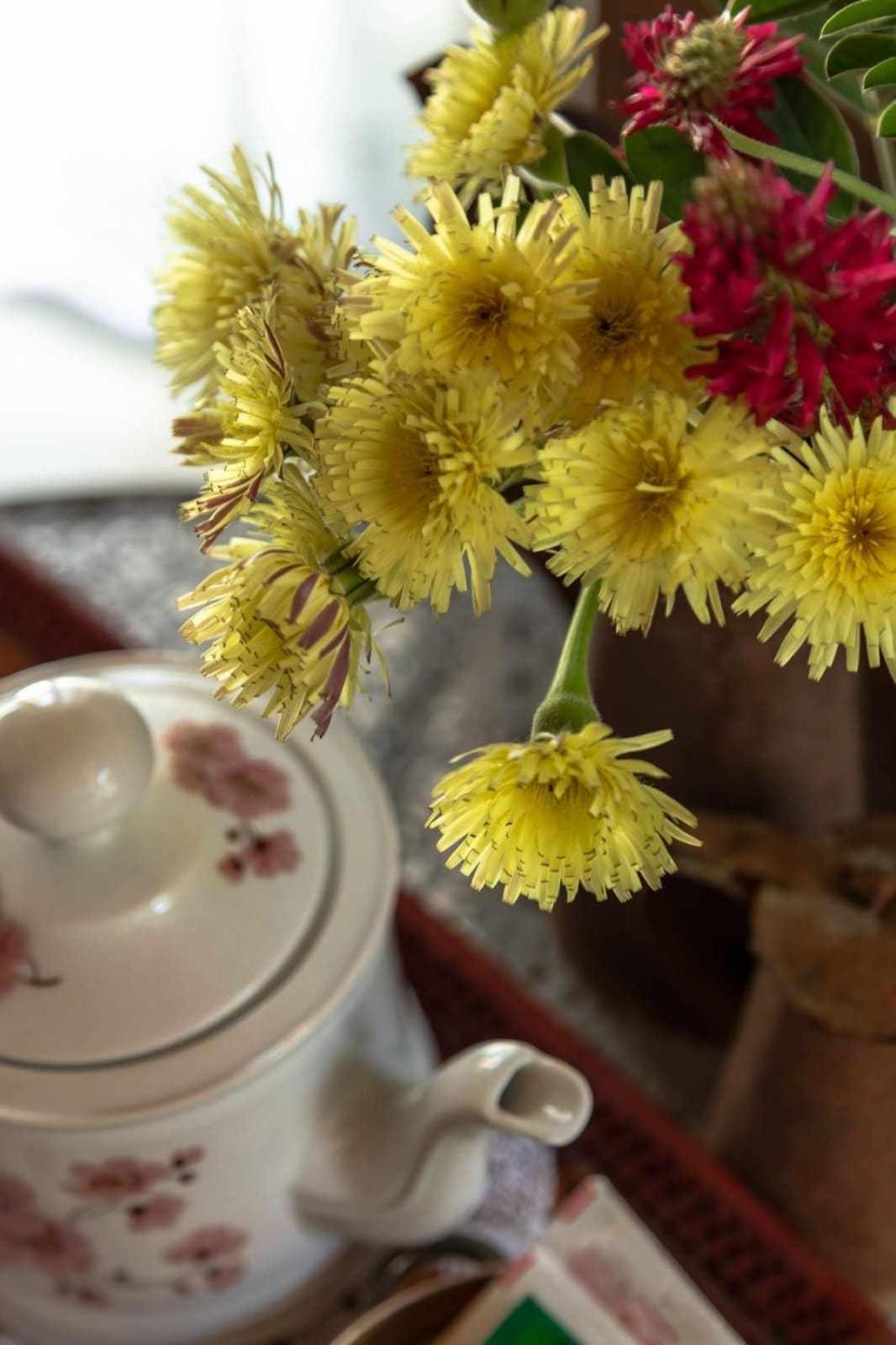 La Meriggia Senigallia Agriturismo 안코나 외부 사진